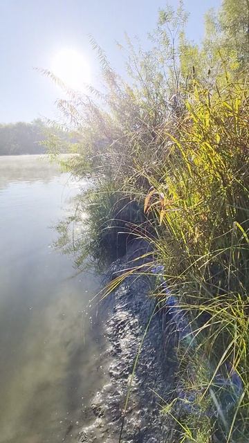 у реки теплее на солнце,чем в тени ночного заморозка