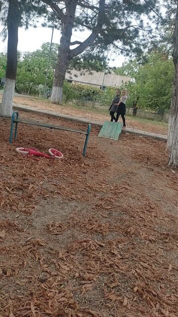 655.mp4