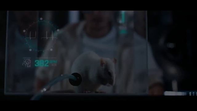 Трейлер. ТРАНС (2025)