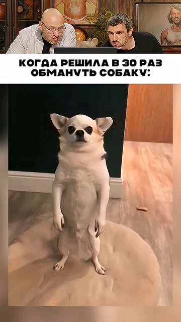Решила обмануть собаку 😅