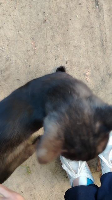подкидыш2часть