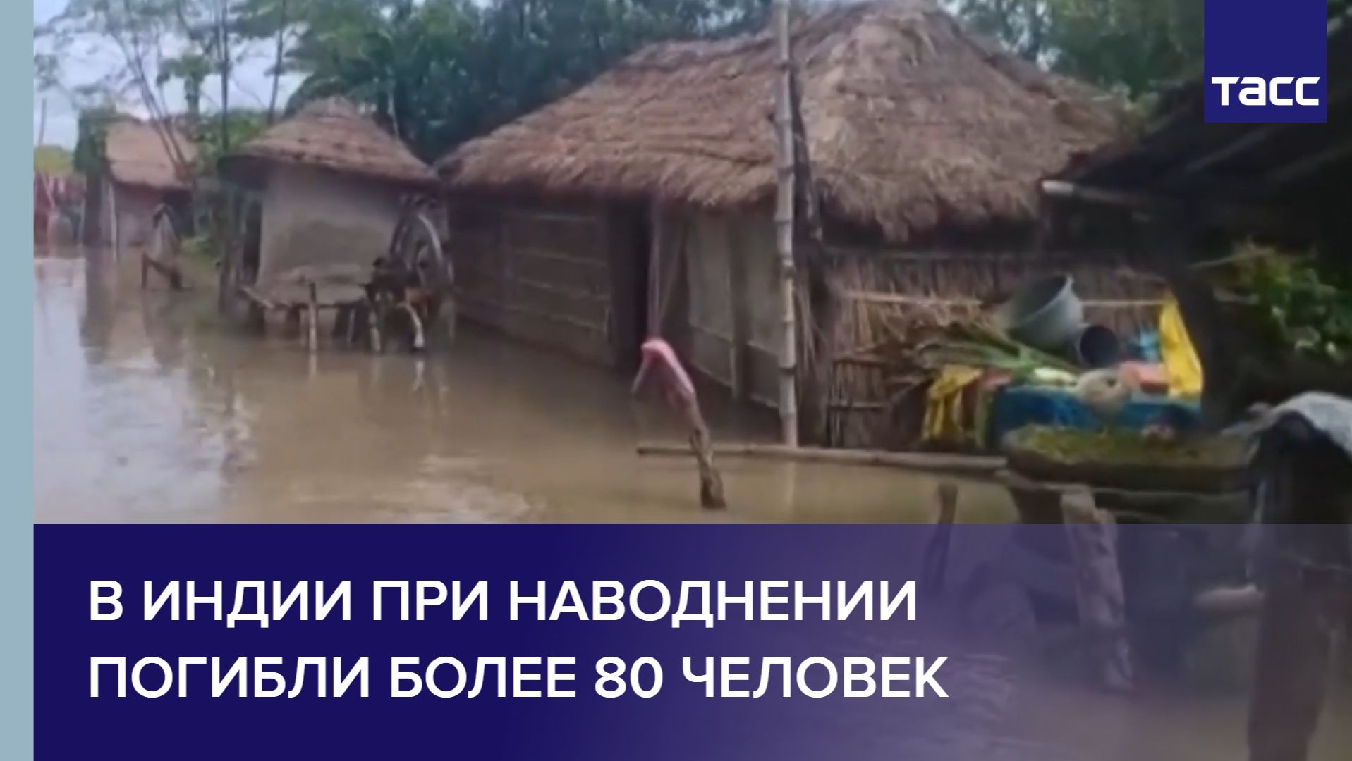 В Индии при наводнении погибли более 80 человек