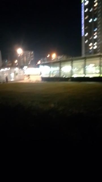МЕТРО. Олег Виговский.