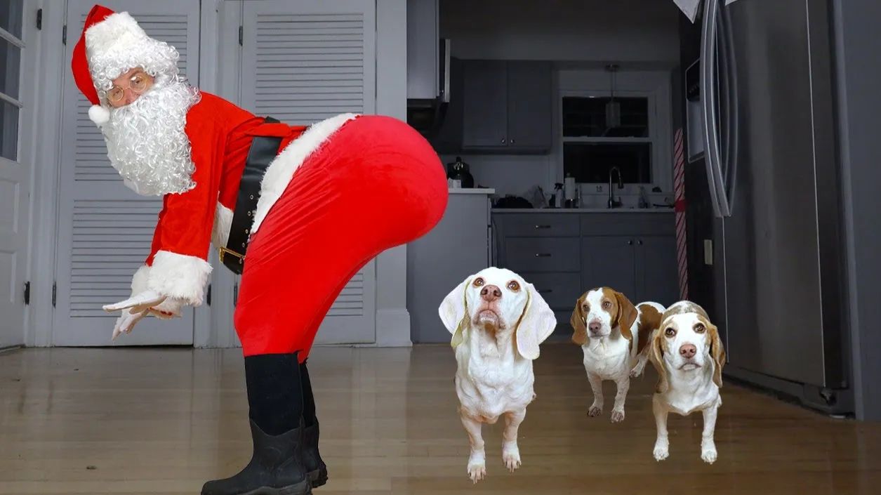Санта в ТАНЦЕ шокировал собак — смешная рождественская вечеринка 🐶🎄