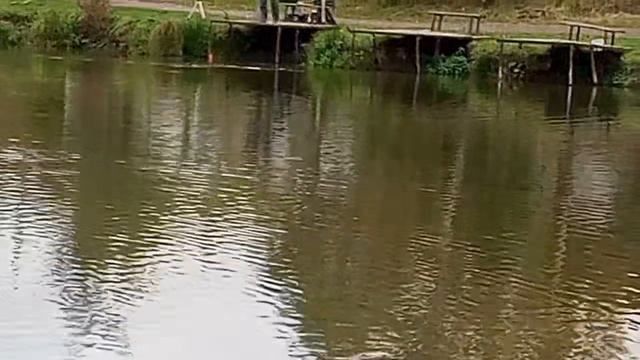 Светлые Горы 28.09.2026г.