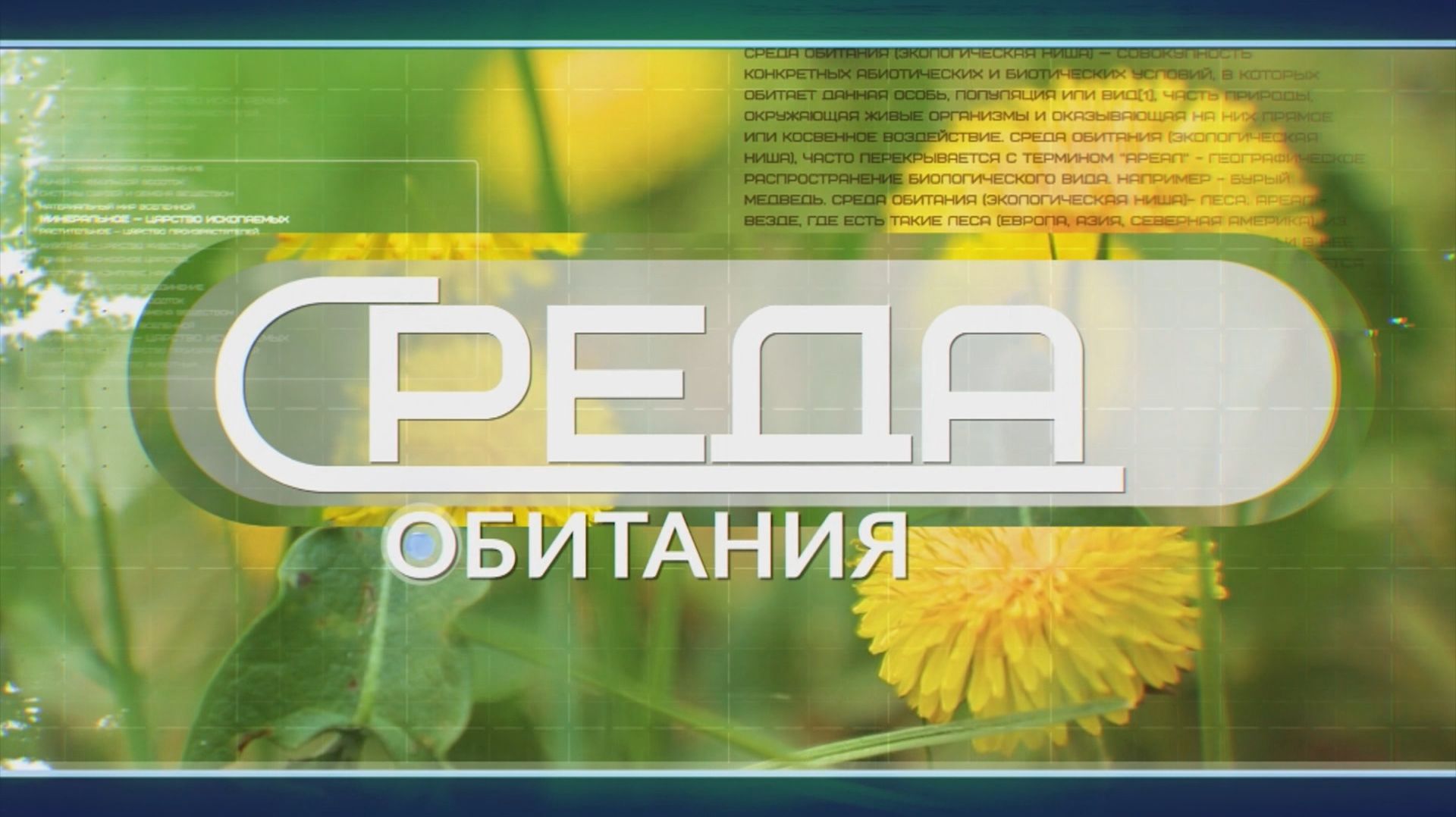 ДЕНЬ БЕЗ АВТОМОБИЛЯ