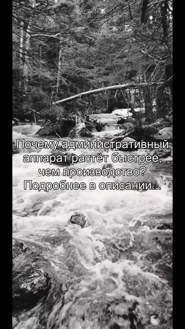 Почему административный
аппарат растёт быстрее,
чем производство?