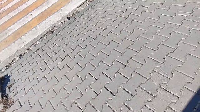 7790.mp4