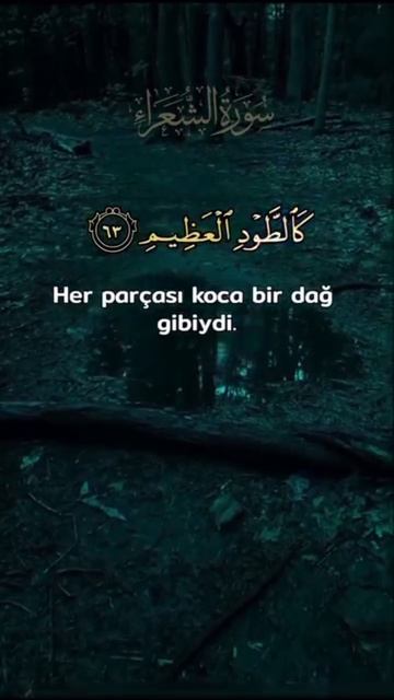 чтец Абдул Басит