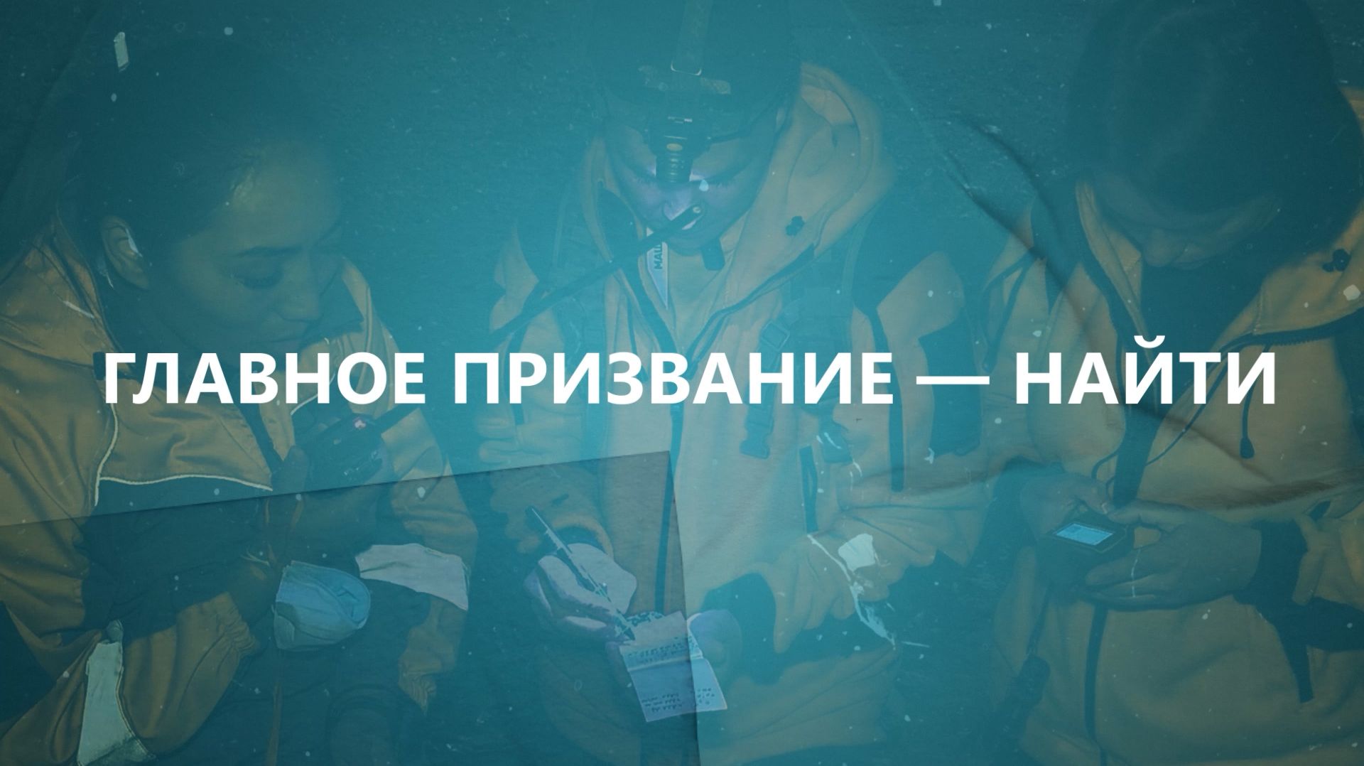 Разбор