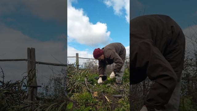 ДЕРЕВЕНСКИЙ  ПАРЕНЬ  ВСЕ ПО-ПРОСТОМУ