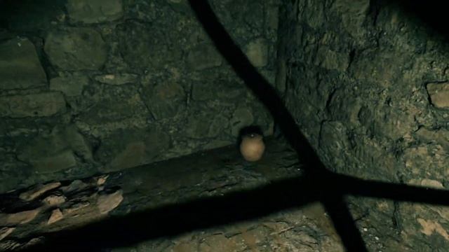 Pirates VR. Jolly Riger. Где то на необитаемом острове . #2