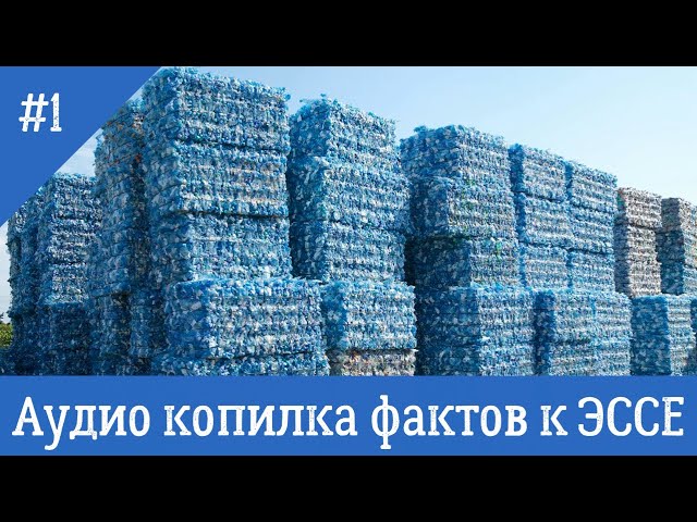 Факт для ЭССЕ по 
