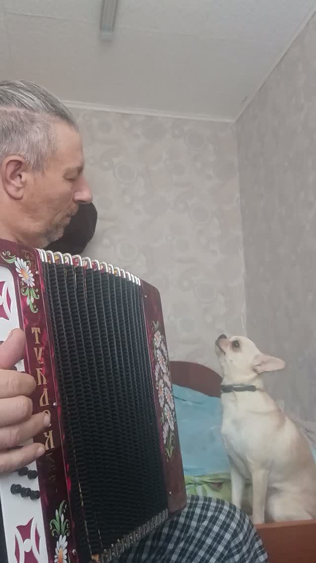 Степашка поет соловьём