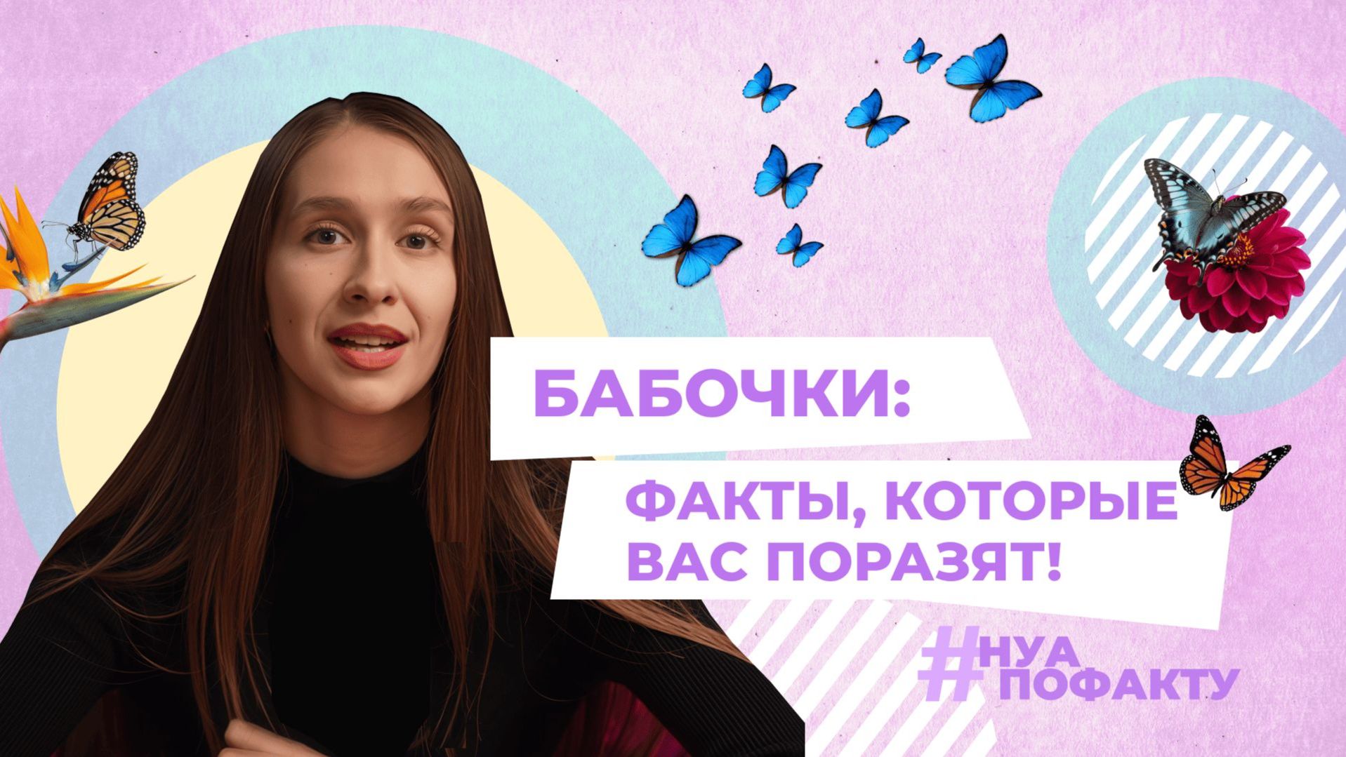 Бабочки: шокирующие и неожиданные факты