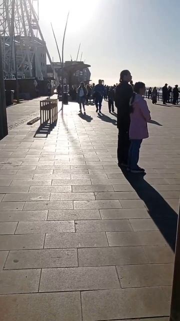 Море в Зеленоградске Калининград
