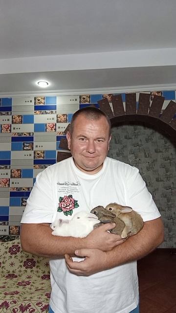 кролики