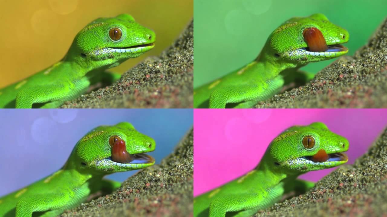 Начальная анимация тип