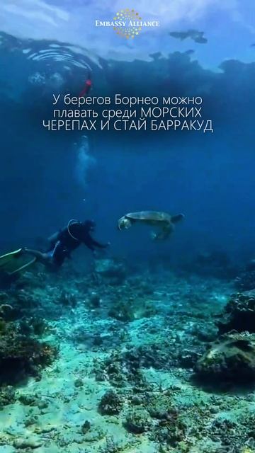 🇲🇾 Малайзия умеет удивлять даже тех, кто уже много путешествовал
