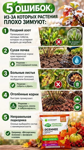5 ошибок, из за которых растения плохо зимуют
