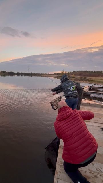 Гонки за форелью в прямом эфире.