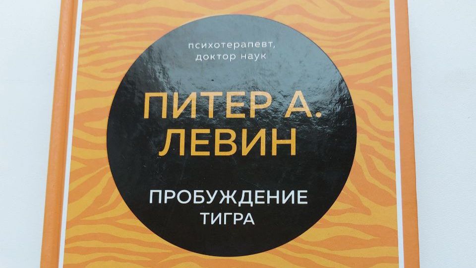 3-6-В-отражении-травмы