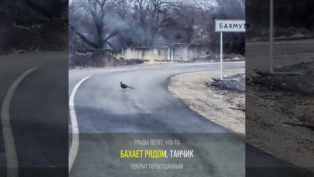 Утро туманное