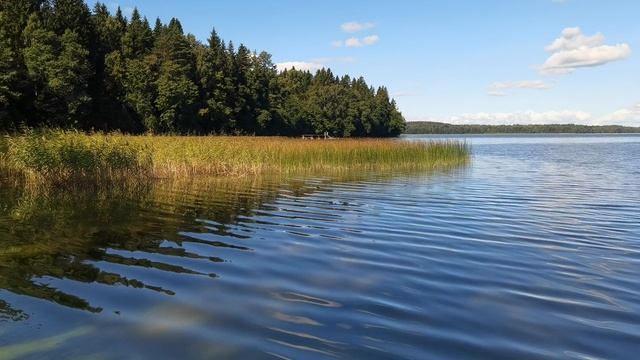 Глубокое и большое озеро Пионерское((Кулеомаярви) на Карельском перешейке в Ленинградской области.