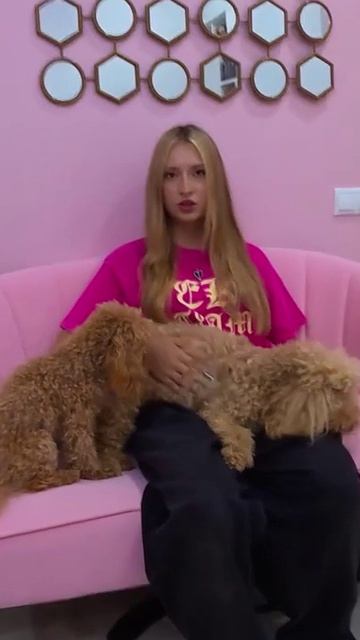 Тест на защиту: подушечная битва