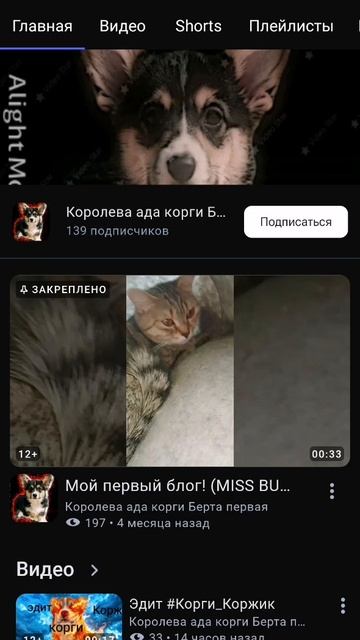 Появилась хейтерша я ее прикрепляю на доску позора говна