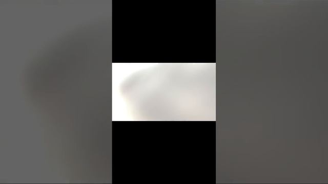 басики в электричке