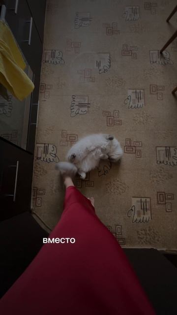 Я выбираю быть ЗаМужем, а вы?