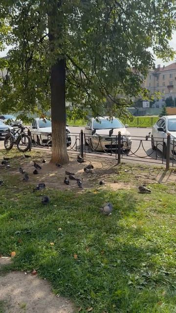 Прогулки по подмосковному городу