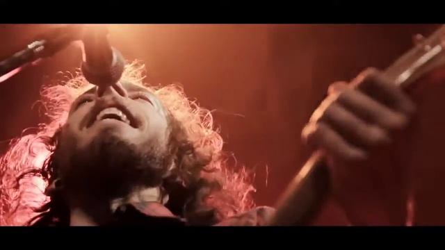 42 Decibel Drinkin Margaritas LIVE