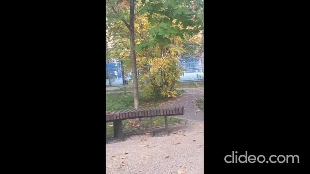 Не дали по срать 🤣🤣🤣
