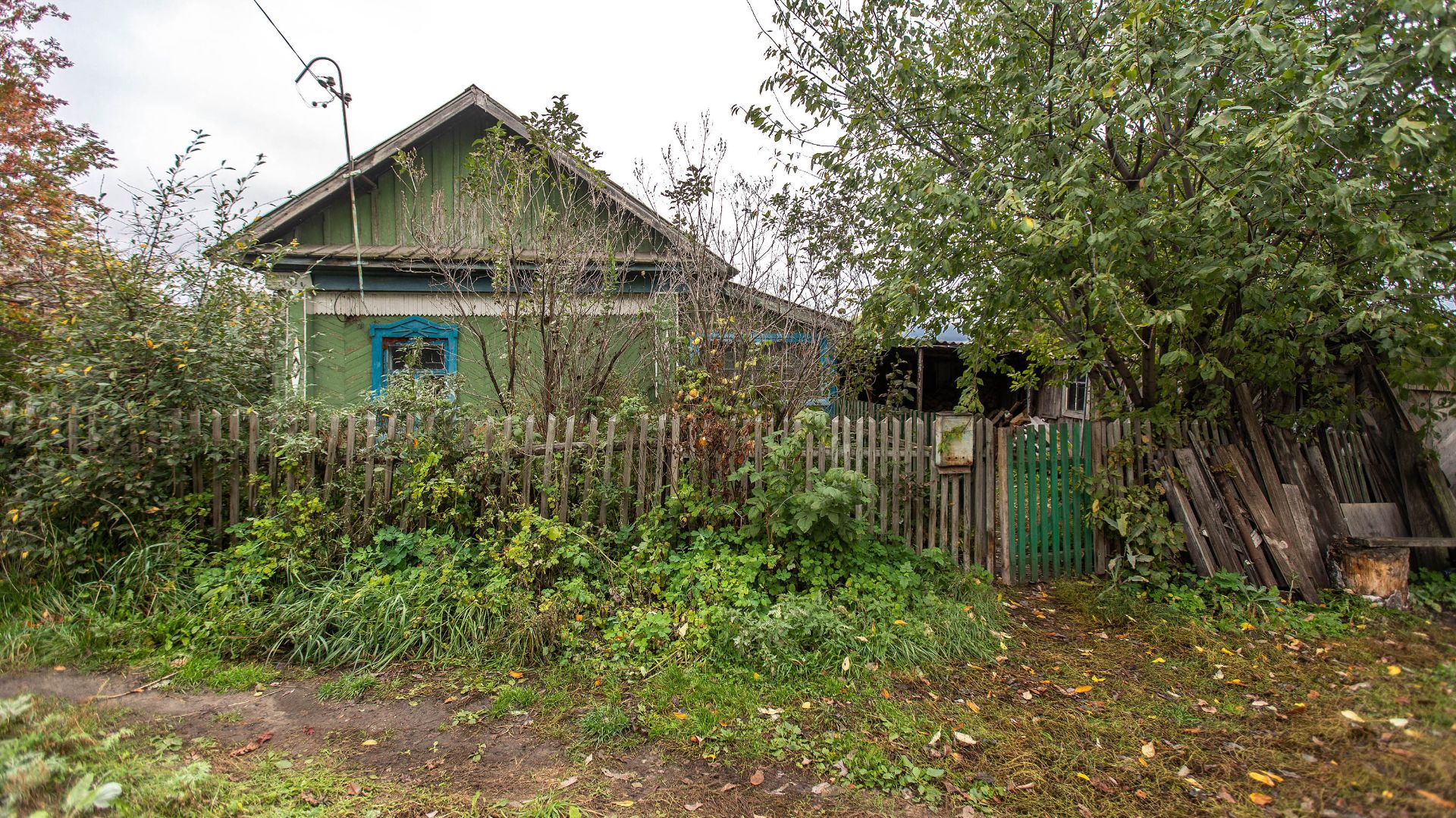 Сосновка, Центральная улица