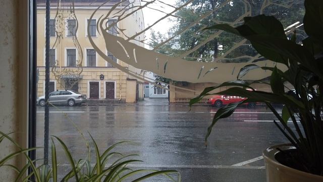 Дождь в СПб