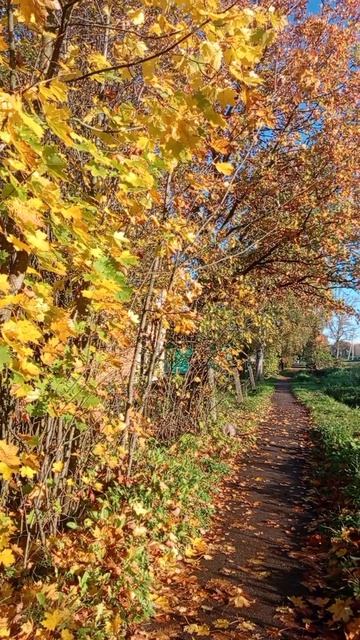 осень🍂🍁
