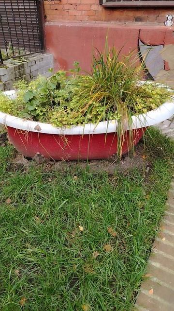 ванна с травой 🛁😯🌿