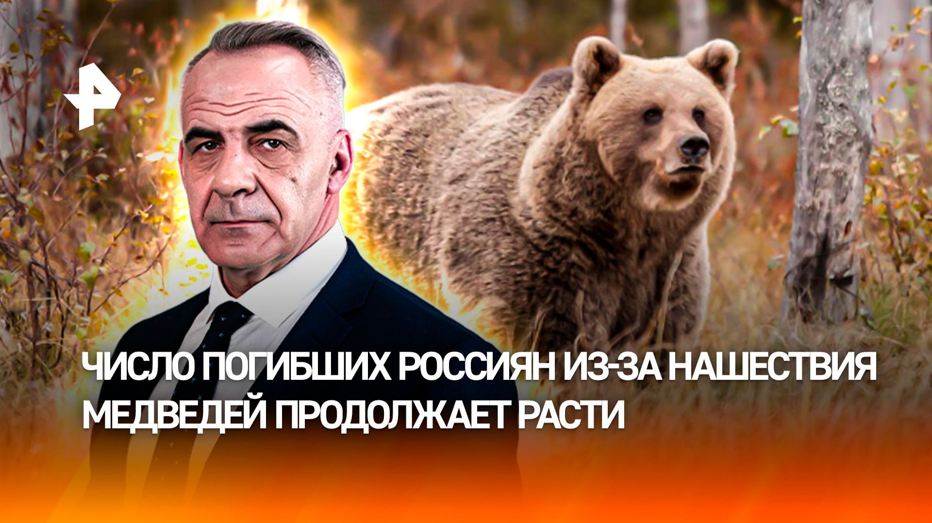Россияне оказываются беззащитны перед хищниками и погибают / ИТОГИ недели с Петром Марченко