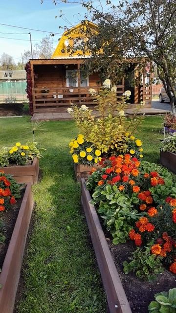 Доброе воскресное утро