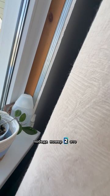 Как выглядят новые листья 🍃