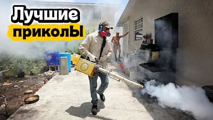 Ужасные букашки | Лучшие приколы | Подборка приколов 👍🔥