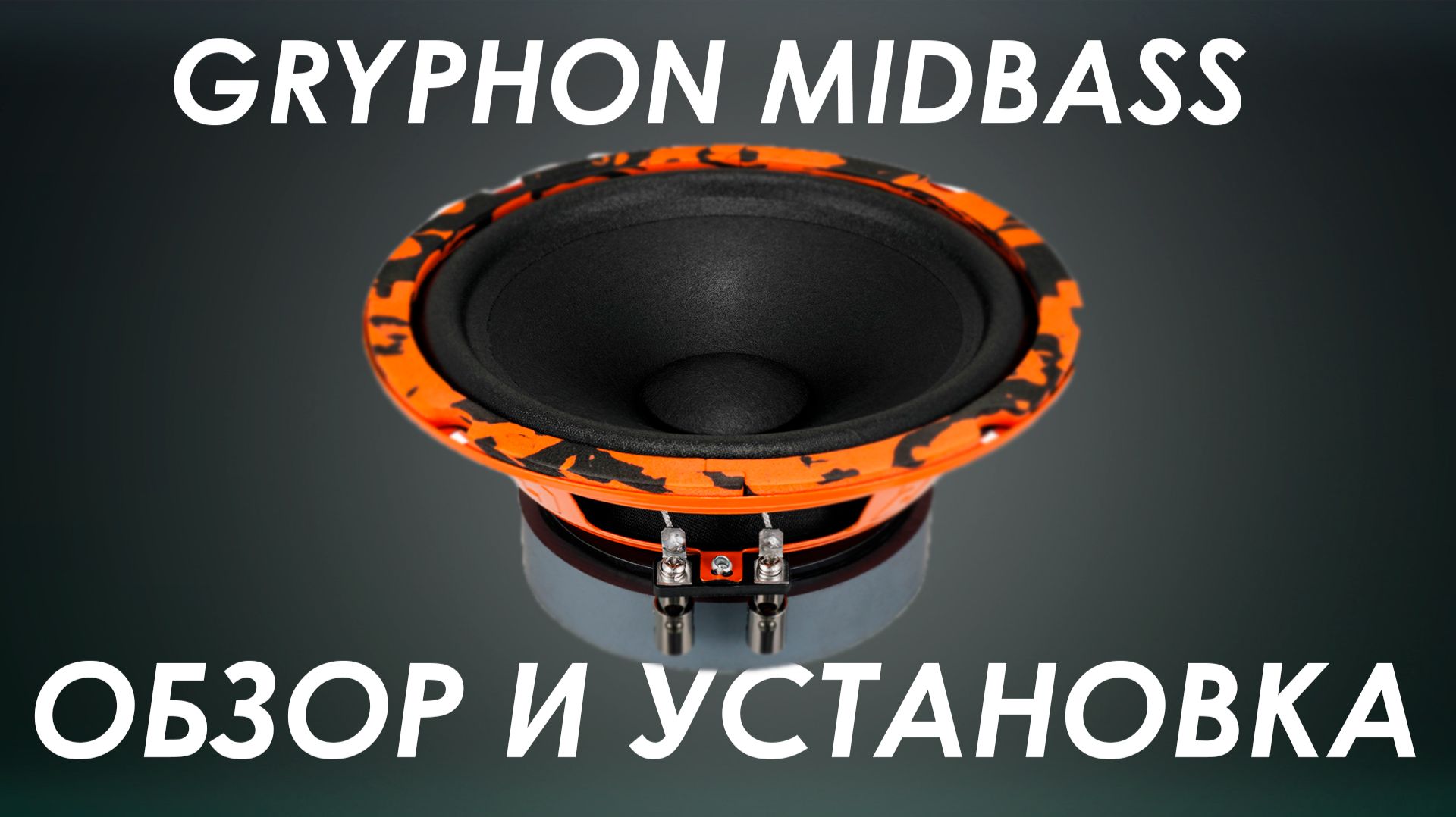 Обзор на Мидбасы от DL AUDIO | GRYPHON MIDBASS