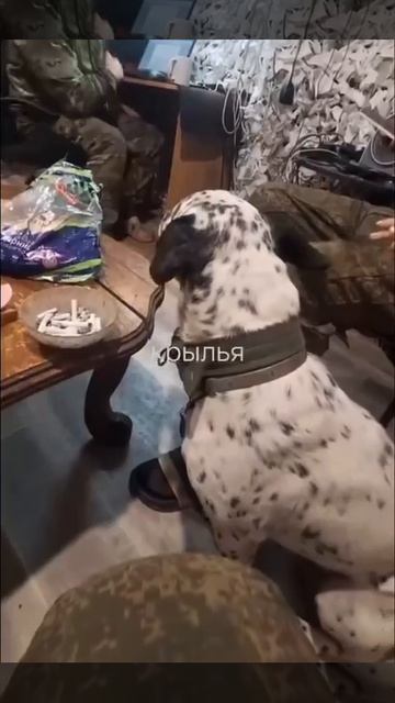 ❤️Ангелы Хранители наших бойцов