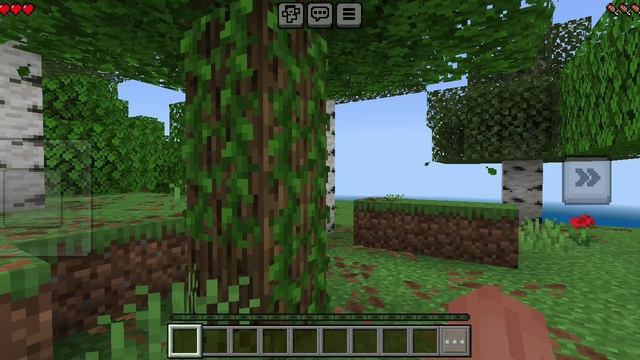 мы с моим другом миросиком играем в Minecraft
