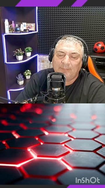 ОДИНОКАЯ ВЕТКА СИРЕНИ