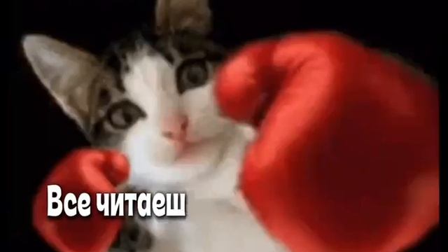 песни из тт🤟