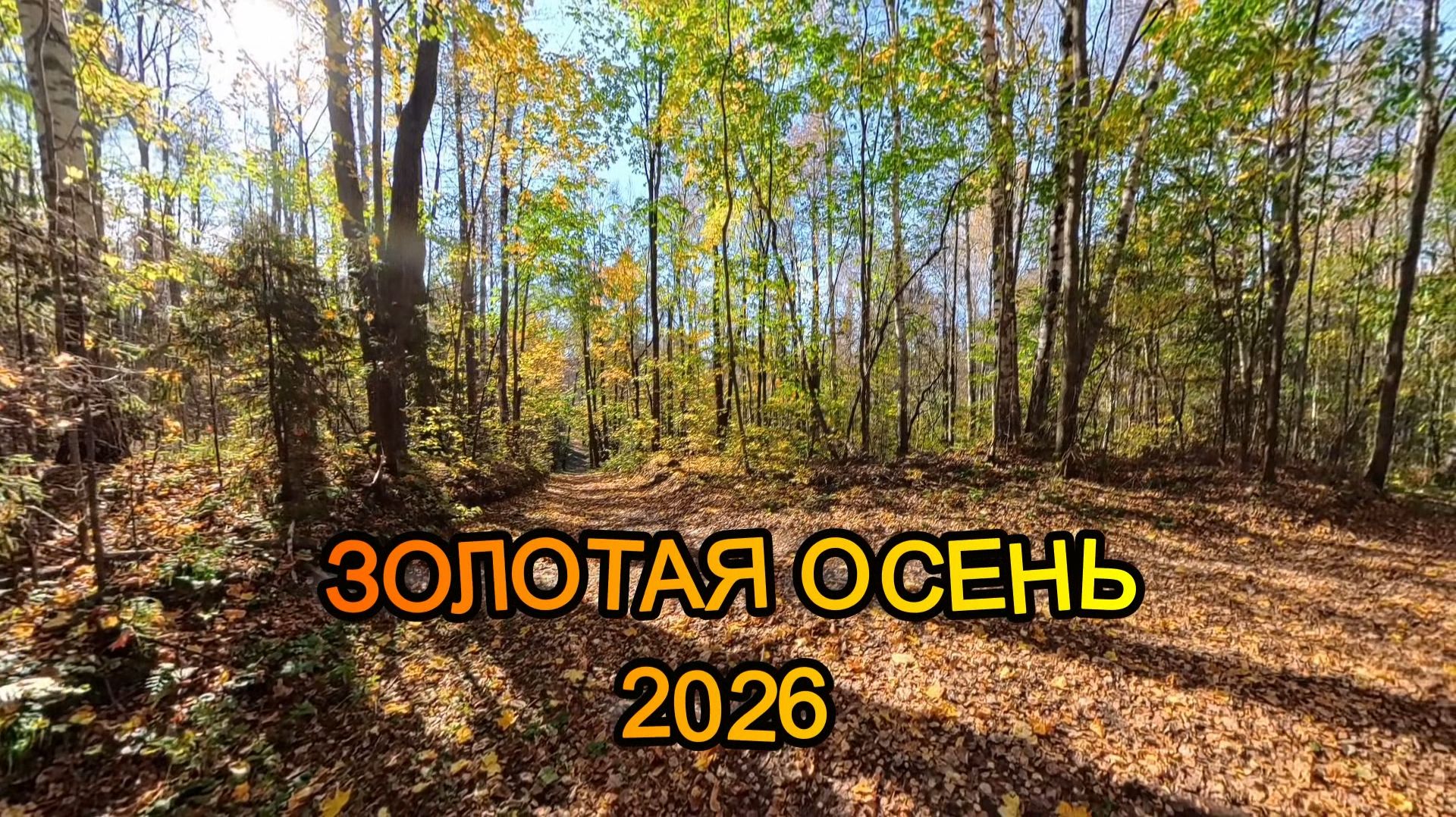 лесная велогонка 26