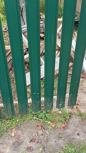 ворота в готовом заборе